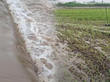 Heavy rains again in Dharashiv district, flooding in Pathrud-Ambi areas | धाराशिव जिल्ह्यात पुन्हा मुसळधार पाऊस, पाथरुड-आंबी भागात पूर, अनेक घरांत पाणी शिरले