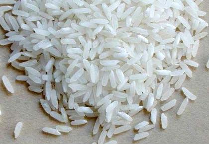 The 'this' rule says that the new rice is only three months old! | 'हा' नियम म्हणतो, नव्या तांदळाचे वय अवघे तीन महिने !