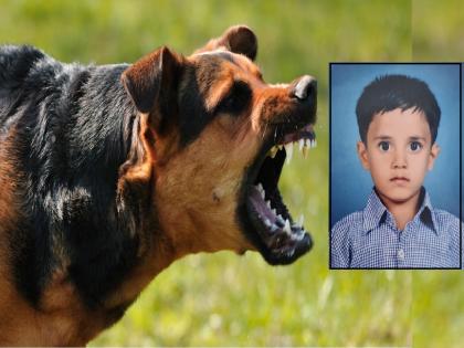 An injured child died in an attack by stray dogs in Islampur Sangli | सांगलीतील इस्लामपुरात भटक्या कुत्र्यांच्या हल्ल्यात जखमी बालकाचा मृत्यू, प्रशासनाविरोधात संतापाची लाट