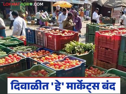 Latest News Kanda Market in diwali few onion markets will remain closed during Diwali 2025 | Kanda Market In Diwali : दिवाळीत 'हे' कांदा मार्केट्स बंद राहतील, किती तारखेपर्यंत सुरु होतील? Latest News Kanda Market in diwali few onion markets will remain closed during Diwali 2025 | Kanda Market In Diwali : दिवाळीत 'हे' कांदा मार्केट्स बंद राहतील, किती तारखेपर्यंत सुरु होतील?