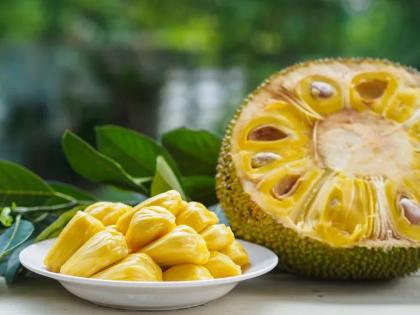 jackfruit is extremely beneficial in diabetes but you should eat it in certain way know more | Diabetes Tips: डायबिटीस असणाऱ्यांसाठी फणसाचे आहेत भरपूर फायदे, फक्त 'अशाप्रकारे' खा