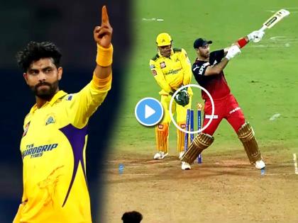 IPL 2022 Video Ravindra Jadeja Gun Shot Celebration after dismissing Glenn Maxwell goes viral CSK vs RCB | Maxwell vs Jadeja, IPL 2022 CSK vs RCB: मॅक्सवेलचा त्रिफळा उडवताच जाडेजाने केले 'गोली मार' सेलिब्रेशन; तुम्ही पाहिलात का Video