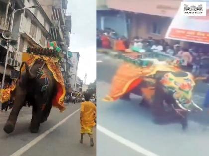 A major incident was averted during the Jagannath Rath Yatra! The elephant leading 18 elephants got lost controll, and... | जगन्नाथ रथयात्रेत मोठी घटना टळली! १८ हत्तींचे नेतृत्व करणाराच हत्ती बिथरला, अन्... A major incident was averted during the Jagannath Rath Yatra! The elephant leading 18 elephants got lost controll, and... | जगन्नाथ रथयात्रेत मोठी घटना टळली! १८ हत्तींचे नेतृत्व करणाराच हत्ती बिथरला, अन्...