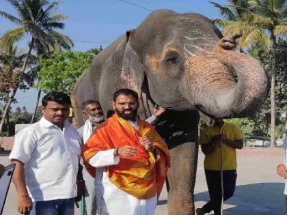 Plans to take the elephant of the Jain monastery in Kolhapur to Vantara in Gujarat says Satej Patil | उपद्रवग्रस्त टस्कर न्या.., मठाचा हत्ती वनतारात कशाला नेता - सतेज पाटील Plans to take the elephant of the Jain monastery in Kolhapur to Vantara in Gujarat says Satej Patil | उपद्रवग्रस्त टस्कर न्या.., मठाचा हत्ती वनतारात कशाला नेता - सतेज पाटील