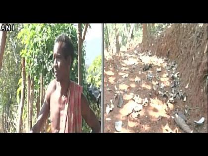 Odisha's Jalandhar Nayak is the new 'Mountain Man', carves out 8km road to connect school to village | ओडिशाचा दशरथ मांझी ! मुलांना शाळेत जाण्यासाठी डोंगर पोखरून बनवला रस्ता