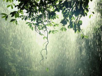 Heavy rain warning for next four days in Jalgaon district; Yellow alert in the district | जळगाव जिल्ह्यात आगामी चार दिवस अतीवृष्टीचा इशारा; जिल्ह्यात यलो अलर्ट