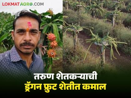 मोबाईल रिपेरिंग करता करता एका एकरात सोनं पिकवलं, आता वर्षांला दहा लाखांचं उत्पन्न, तरुण शेतकऱ्याचा प्रवास 