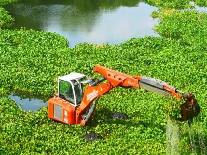 Ultimatum to remove waterfowl from river basin; Orders of the Municipal Commissioner | Pune: नदीपात्रातील जलपर्णी काढण्यासाठी अल्टिमेटम; महापालिका आयुक्तांचे आदेश