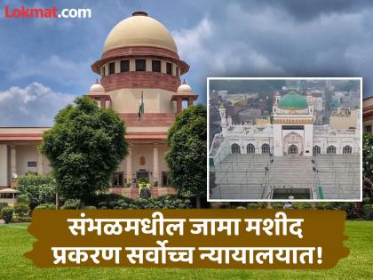 jama masjid sambhal update Supreme Court Asks Trial Court Not To Proceed | 'कोणतीही कारवाई करू नका'; जामा मशीद प्रकरणी सर्वोच्च न्यायालयाचे कनिष्ठ न्यायालयाला निर्देश