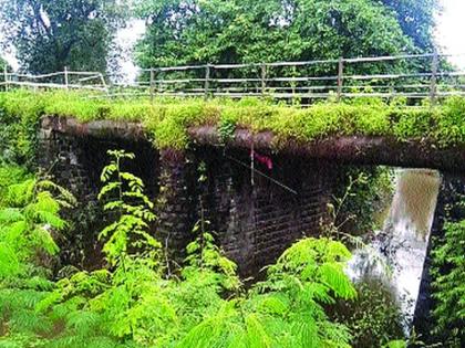 Jambhalpada, Warhad Bridge bad condition | जांभूळपाडा, व-हाड पुलाची गंभीर दुरवस्था