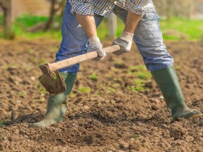 Excavation begins on government land for agriculture, valuable treasure is found, onlookers are speechless, then... | सरकारी जमिनीवर शेतीसाठी सुरू होतं खोदकाम, सापडला मौल्यवान खजिना, पाहणारे अवाक्, त्यानंतर...