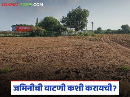 जमिनीची वाटणी म्हणजे खातेवाटप कसे करायचे, हरकत असल्यास काय करावे? वाचा सविस्तर 