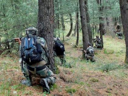 Handwara encounter: Two terrorists have been killed, operation in progress | Jammu And Kashmir : हंदवाडा चकमकीत दोन दहशतवाद्यांचा खात्मा