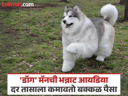 १२ लाख खर्च करून बनला होता 'कुत्रा'; आता त्यातूनच उभारला बिझनेस, ३ तासांची कमाई पाहा