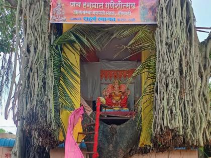 Jai Hanuman Ganeshotsav Mandal at Gundevadi in Miraj taluka installed Ganesha idol on a Banyan tree | Sangli: वडाच्या झाडावर विसावले गणपती बाप्पा, पर्यावरण संवर्धनाचा संदेश