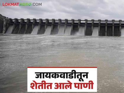 Jayakawadi Dam Water : जायकवाडीतून दीड लाख हेक्टर जमिनीचे सिंचन; रब्बी आणि उन्हाळी पिकांना होणार फायदा