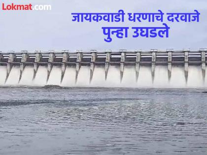 18 gates of Jayakwadi Dam reopened within 17 days; Alert issued to citizens along Goda | दमदार पावसाने आवक वाढली, १७ दिवसांतच जायकवाडी धरणाचे १८ दरवाजे पुन्हा उघडले 18 gates of Jayakwadi Dam reopened within 17 days; Alert issued to citizens along Goda | दमदार पावसाने आवक वाढली, १७ दिवसांतच जायकवाडी धरणाचे १८ दरवाजे पुन्हा उघडले