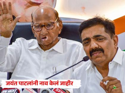 नगराध्यक्ष निवडणुकीसाठी शरद पवारांच्या राष्ट्रवादी काँग्रेसचा पहिला उमेदवार घोषित, दोन नावे होती चर्चेत 