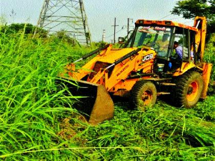 Now take a trash on MIDC plot, a temporary decision on the struggle | आता एमआयडीसीतील भूखंडावर कचरा टाका, संघर्षावर तात्पुरता निर्णय