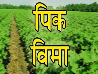 Notification for advance of crop insurance in affected 106 circles; Issued by three Collectors | बाधित १०६ मंडळात पीक विम्याच्या अग्रीमसाठी अधिसूचना; महिनाभरात मिळणार परतावा