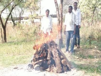 Eight days ago, the body of a leopard was found in a valley behind Shantinagar in the city. | ‘त्या’ बिबट्याचा मृत्यू नैसर्गिक?; शवविच्छेदन अहवालाची अद्यापही प्रतीक्षा