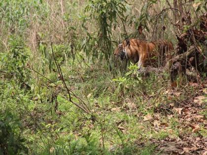 Kanhalgaon Wildlife Sanctuary to be set up soon; Begin to know the opinions of villagers | कन्हाळगांव वन्यजीव अभयारण्य लवकरच‌ होणार; गावकऱ्यांची मतं जाणून घेण्यास सुरुवात 