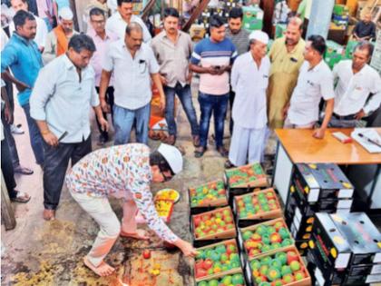 Taste the taste of 'Malawi Hapus' on Diwali itself; As many as 598 boxes entered! | दिवाळीतच चाखा ‘मलावी हापूस’ची चव; तब्बल ५९८ बाॅक्स दाखल; मार्केटमध्ये उत्साह