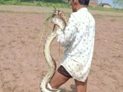 A young man who went to catch fish was caught by a python, a game of life and death lasted for three hours, finally... | मासे पकडायला गेलेल्या तरुणाला अजगराने पकडले, तीन तास चालला जीवन-मरणाचा खेळ, अखेर...