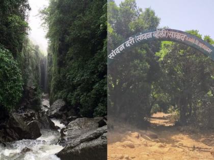 Sandan valley closed for 5 months; Restrictions imposed by Wildlife Department in Kalsubai Sanctuary | सांदण दरीची वाट ५ महिन्यांसाठी बंद; कळसुबाई अभयारण्यात वन्यजीव विभागाने घातले निर्बंध