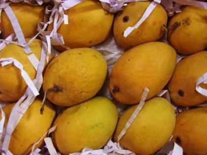 corona crisis on mangoes will be avoided | आंब्यावरील कोरोना संकट टळणार