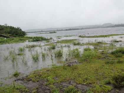 Heavy rain in Shirur Khed Ambegaon taluka in pune thetewadi dam is 100 percent full | Pune Rain: शिरूर, खेड, आंबेगाव तालुक्यात पावसाची दमदार हजेरी; थिटेवाडी बंधारा १०० टक्के भरला