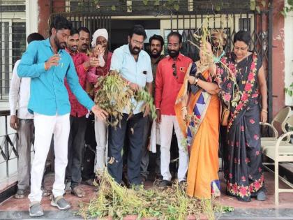 Declare a dry drought in the district cut soybean trees in the collectors office parbhani | 'जिल्ह्यात कोरडा दुष्काळ जाहीर करा,' जिल्हाधिकारी कार्यालयात टाकली सोयाबीनची करपलेली झाडे