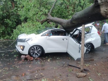 Heavy rain with stormy wind in Kolhapur, two injured after tree fell on car | कोल्हापुरात वादळी वाऱ्यासह जोरदार पाऊस, कारवर झाड कोसळून दोघे जखमी