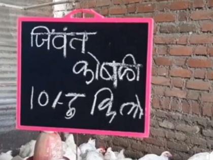 Corona virus : Corona's horror has raised the chicken at Rs 10 a kg, sellers' eyes in nashik and amravati MMG | Corona virus : कोरोनाच्या धास्तीने चिकन 10 ₹ किलो, विक्रेत्यांचे डोळे पाणावले 