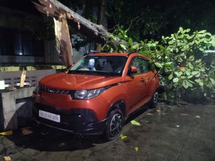 Trees fell on parked vehicles at three places in Thane; Nine vehicles were damaged | ठाण्यात तीन ठिकाणी पार्क केलेल्या वाहनांवरती झाडे कोसळली; नऊ वाहनांचे नुकसान