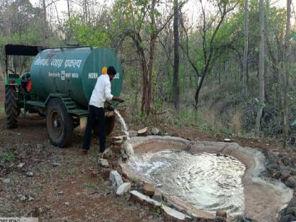 Supply of water by tanker to satisfy the thirst of tigers in the tiger reserve | व्याघ्र प्रकल्पात वाघांच्या तृष्णातृप्तीसाठी टँकरने पाणीपुरवठा