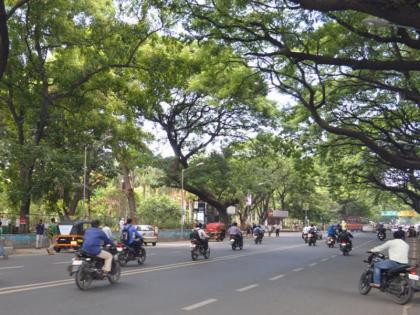 Do you understand who you are asking for the address beating advocate in pune | "तुम्हाला समजते का, तुम्ही कोणाला पत्ता विचारत आहात...! असे म्हणत वकिलाला बेदम मारहाण