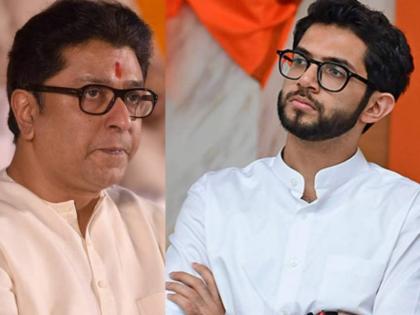 Minister and Shiv Sena leader Aditya Thackeray has criticized MNS | 'संपलेल्या पक्षाला अन् स्टंटबाजीला मी भाव देत नाही'; आदित्य ठाकरेंचा मनसेला टोला