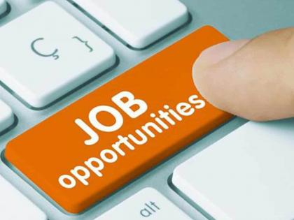 Golden opportunity! Recruitment for 260 posts in Department of Economics and Statistics | सुवर्ण संधी! अर्थ व सांख्यिकी विभागात २६० पदांसाठी भरती