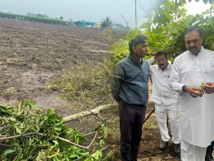 Sharad Pawar led NCP leader Jayant Patil slams Eknath Shinde led Maharashtra Govt over Farmers Issues | "शेतकऱ्यांच्या हातातोंडाशी आलेला घास गेलाय, सरकारने..."; जयंत पाटलांची मागणी