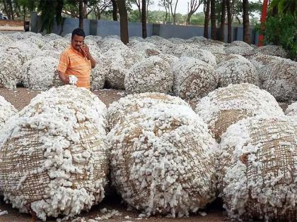 The marketing federation will set up sheds at cotton centers across the state | कापूस खरेदीसाठी पणन महासंघ राज्यभरातील केंद्रांवर उभारणार शेड