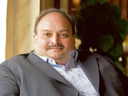 PNB Scam: Fugitive Mehul Choksi's Dramatic Capture After Escape By Boat to Dominica | Mehul Choksi arrested: फरार मेहुल चोक्सी सापडला; अँटिग्वामधून बोटीतून पळालेला 