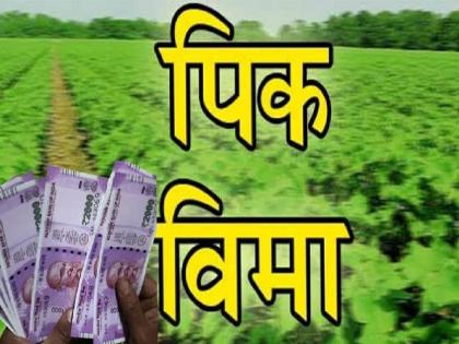 Agriculture department FIR against insurance company | विमा कंपनीविरुद्ध कृषी विभागाचा एफआयआर 