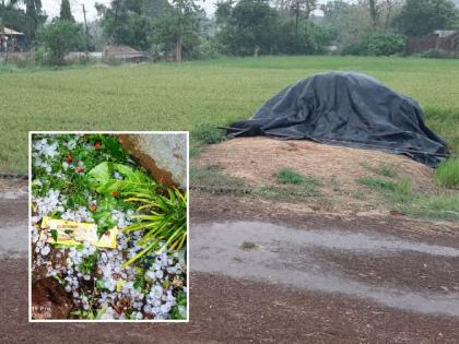 Sunny in the morning, storm in the afternoon, rain and hail in the evening in gondia district | सकाळी उन, दुपारी वादळ, सायंकाळी पाऊस अन गारपीट; पुन्हा तीन दिवस अवकाळीचे संकट