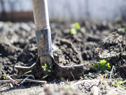 Promotion of Organic Farming in Alibaug Taluk | अलिबाग तालुक्यात सेंद्रिय शेतीला प्रोत्साहन