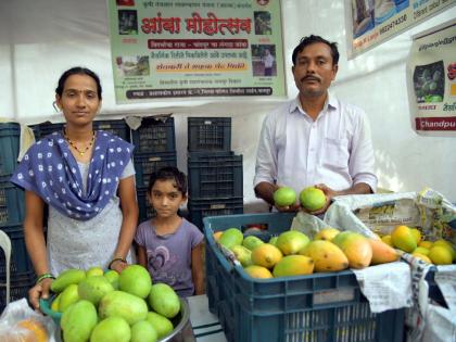 An income of Rs 10 lakhs per annum from mango production, the alchemy done by a highly educated person without going after a job | आंबा उत्पादनातून वर्षाकाठी १० लाखांचे उत्पन्न; नोकरीच्या मागे न लागता उच्च शिक्षिताने केली किमया