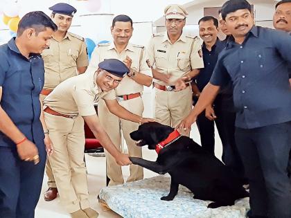 Retirement Ceremony of 'Jumbo' Cheena in Sainagar | साईनगरीतील ‘जम्बो’ श्वानाचा सेवानिवृत्ती सोहळा