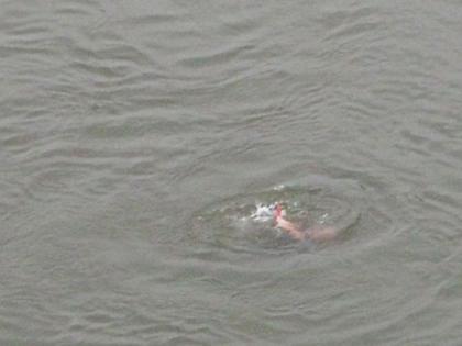 Young men and women jumped into the river from the bridge of Pangange at Dhanoda in Yavatmal district | यवतमाळ जिल्ह्यात धनोडा येथे पैनगंगेच्या पुलावरून युवक, युवतीने घेतली नदीत उडी