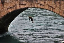 A martyr's youth jumps over a bridge | शहाद्याच्या युवकाची सारंगेखडा पुलावरून उडी A martyr's youth jumps over a bridge | शहाद्याच्या युवकाची सारंगेखडा पुलावरून उडी