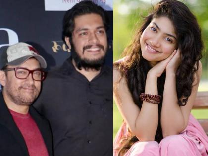 Aamir Khan s son to pair up with south actress Sai Pallavi got second movie before debut | आमिर खानच्या मुलाची साई पल्लवीसोबत जोडी जमणार? डेब्यूच्या आधीच मिळाला दुसरा सिनेमा